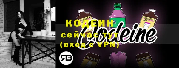 твердый Инсар