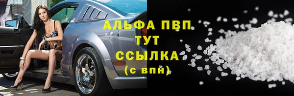 дмт Инта