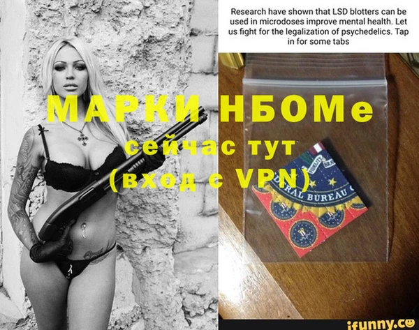 твердый Инсар