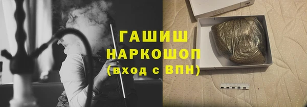 твердый Инсар