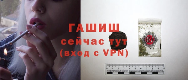 твердый Инсар