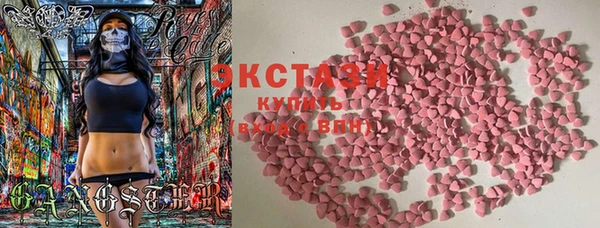 дмт Инта