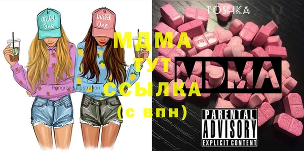дмт Инта