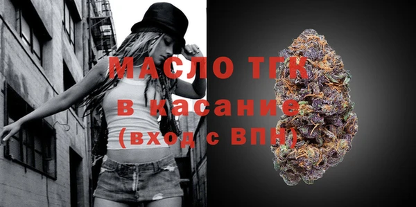 дмт Инта