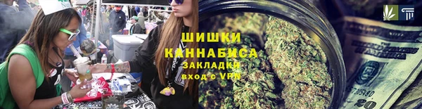 дмт Инта