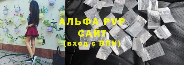 твердый Инсар