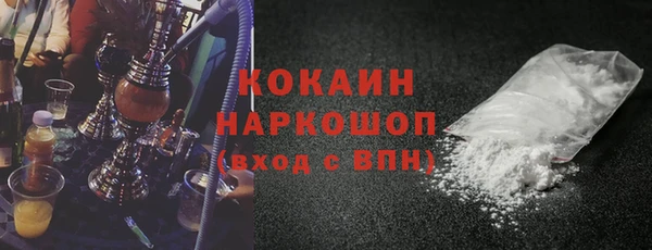 твердый Инсар