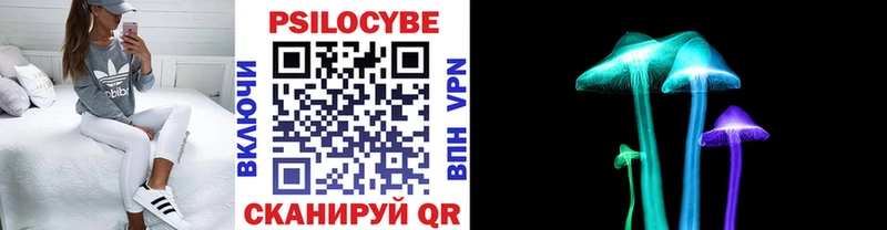 Купить где  Верхоянск  Галлюциногенные грибы Magic Shrooms 